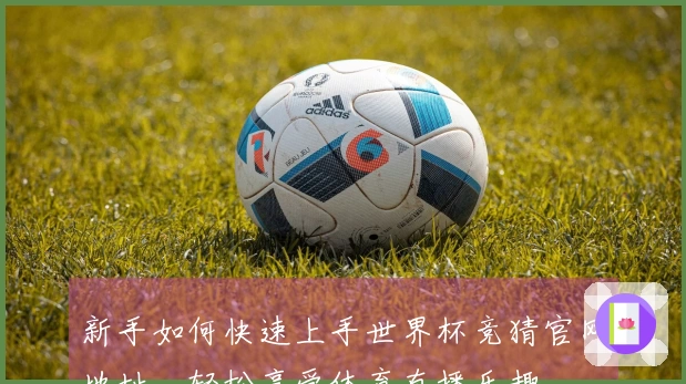 新手如何快速上手世界杯竞猜官网地址，轻松享受体育直播乐趣