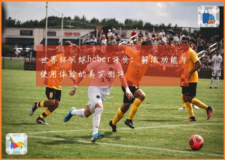 世界杯买球heber评价:解读功能与使用体验的真实测评