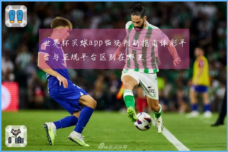 世界杯买球app临场判断指南体彩平台与正规平台区别在哪里