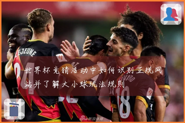 世界杯竞猜活动中如何识别正规网站并了解大小球玩法规则