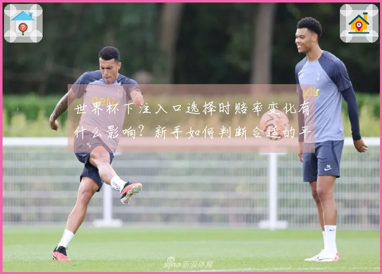 世界杯下注入口选择时赔率变化有什么影响?新手如何判断合适的平台?