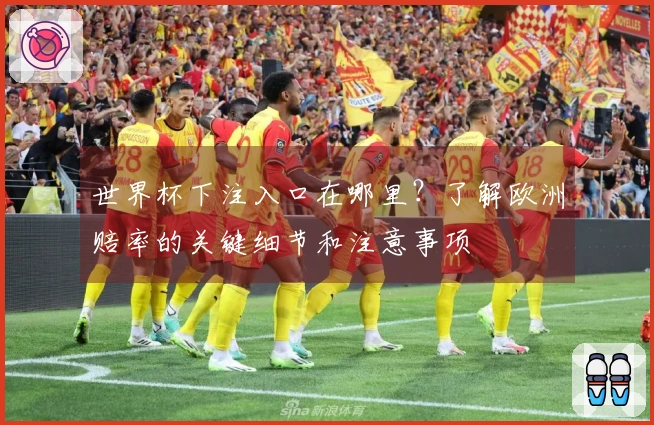 世界杯下注入口在哪里?了解欧洲赔率的关键细节和注意事项