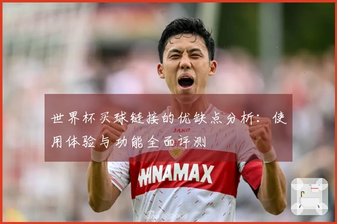世界杯买球链接的优缺点分析：使用体验与功能全面评测