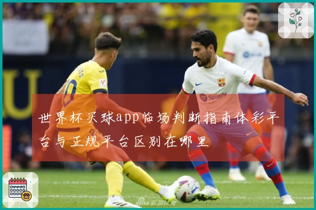 世界杯买球app临场判断指南体彩平台与正规平台区别在哪里