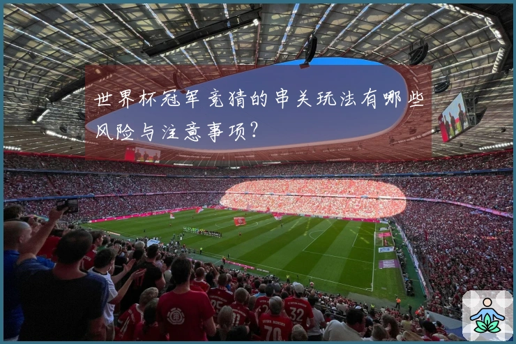 世界杯冠军竞猜的串关玩法有哪些风险与注意事项?