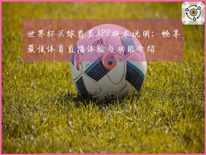 世界杯买球首页APP版本说明：畅享最佳体育直播体验与功能介绍