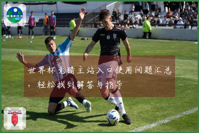 世界杯竞猜主站入口使用问题汇总，轻松找到解答与指导