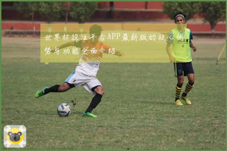 世界杯投注平台APP最新版的核心优势与功能全面介绍