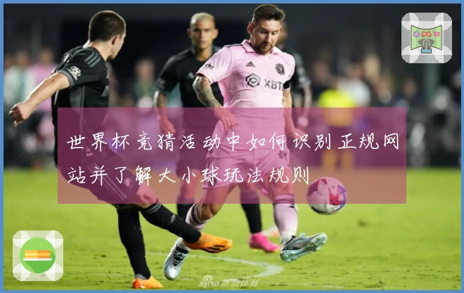 世界杯竞猜活动中如何识别正规网站并了解大小球玩法规则